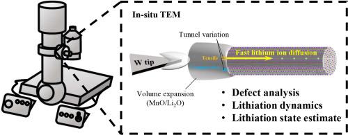 Probing the Role of Local Tunnel Variations in Early-Stage Lithiation of α-MnO₂ Nanowires via In Situ TEM