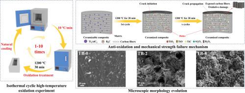 Long-term oxidation resistance and reusability of a ceramizable composite for reusable large-area thermal protection of hypersonic aircraft