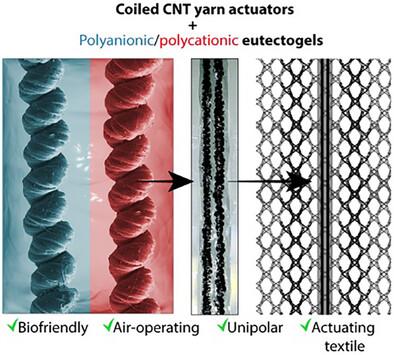 Bio-Friendly Artificial Muscles Based on Carbon Nanotube Yarns and Eutectogel Derivatives