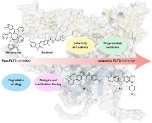Rational design of next-generation FLT3 inhibitors in acute myeloid leukemia: From laboratory to clinics