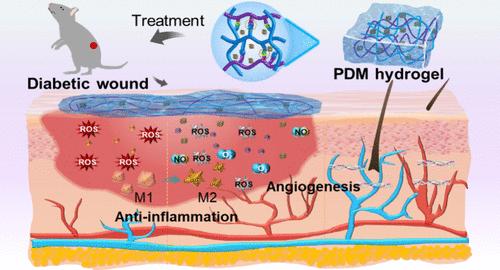 A Sustained Oxygen- and Nitric Oxide-Producing Hydrogel Accelerates Methicillin-Resistant Staphylococcus aureus-Infected Diabetic Wound Healing under Hypoxia