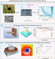 Hierarchically architected biomass-derived magnetic aerogels for broadband electromagnetic attenuation and functionalities
