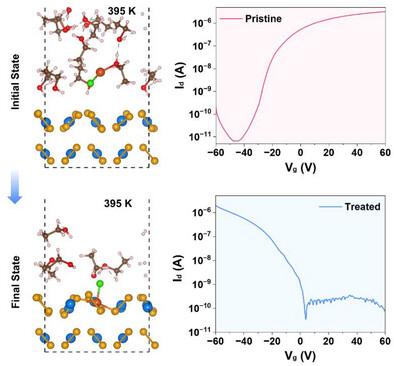 Temperature‐Field‐Mediated Stable Lewis Acid p‐Type Doping of TMDs for Photodetectors and CMOS Inverters