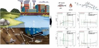 Bioaccumulation and tissue distribution of Cadmium, Organophosphate Flame Retardants and their Di-alkyl phosphates transformation products in a South China river