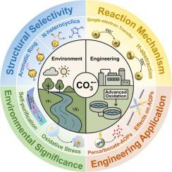 Carbonate radicals in environmental systems: mechanistic insights and engineering applications