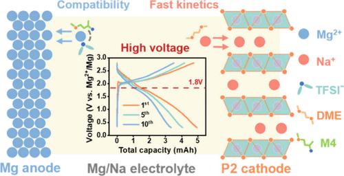 P2-Type Mn-Based Oxide Cathode for Chlorine-Free Mg–Na Hybrid Battery Devices