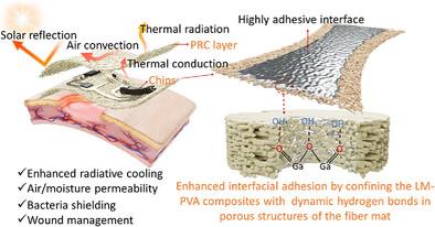 Highly Adhesive Liquid Metal Interface-Enabled Stretchable Bioelectronics With Enhanced Radiative Cooling for Wound Management