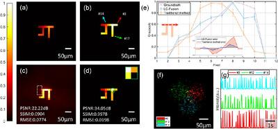 Large Field‐Of‐View Imaging Through Scattering Layers With Optimized Illumination and Localization–Grayscale Fusion