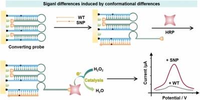 Spatial repositioning enables an electrochemical platform for SNP sensing based on a conformationally-switchable hairpin probe