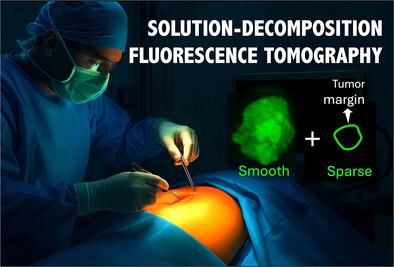 High‐Fidelity Solution Decomposition Fluorescence Tomography in the Presence of Background Interference