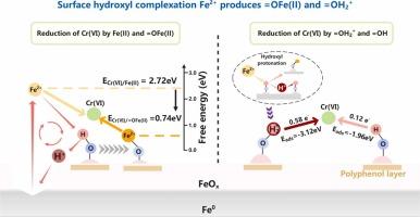 Surface hydroxyl-driven =FeOFe(II)+ and =FeOH2+ generation on polyphenol-modified ZVI: Mechanistic insights into Cr(VI) and surface passivation layer removal