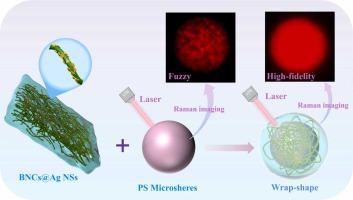 Soft and wrap-like nanofibers@plasmonic SERS sensors for high-fidelity visualized Raman imaging of micro-curved targets