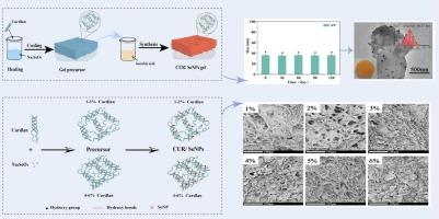 In-situ synthesis and evaluation of Curdlan-based SeNPs composite hydrogel: effect of stability and sustained release