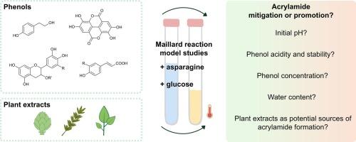 Mitigation or promotion: The role of phenols and plant extracts in acrylamide formation
