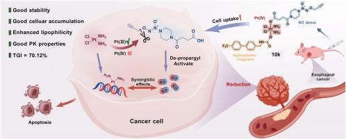Lipophilic Integrated Bioorthogonal Self-Catalyzed Nitric Oxide Donor–Platinum(IV) Prodrugs for Enhanced Antitumor Efficacy Against Esophageal Cancer