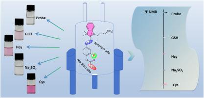 Dual-site 19F NMR/colorimetric probe with chemical shift encoding for multiplexed detection of biothiols and SO2 derivatives