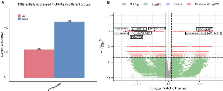 lncRNA RNA AC114812 Regulates the Inflammatory Response of Periodontal Ligament Cells via the miR-181a-5p-SPP1 Axis.