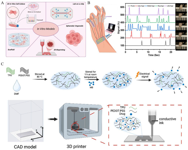 Printable Conductive Hydrogels and Elastomers for Biomedical Application.