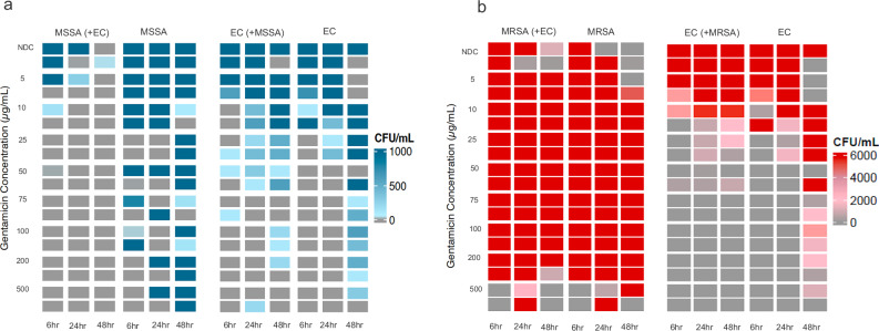 Characterizing interactions of Staphylococcus aureus and Escherichia coli in dual-species implant-associated biofilms.