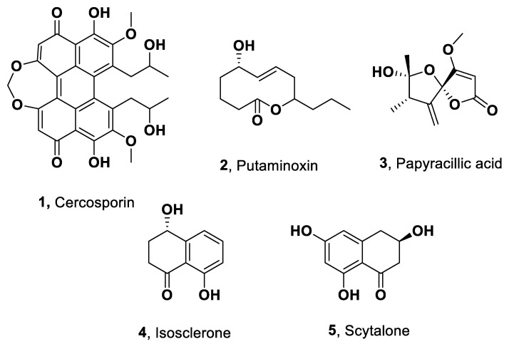Metabolic and Phytotoxic Profile of Phytopathogens in Main Extensive Crops of Argentina.