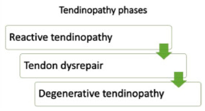 Current Concepts in Pathogenesis and Conservative Management of Supraspinous Tendinopathies Using Shockwave Therapy-A Narrative Review of the Literature.