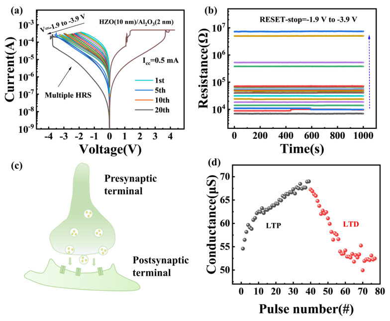 Controlling the Digital to Analog and Multilevel Switching in Memristors Based on Zr-Doped HfO<sub>2</sub> by Interface Engineering.