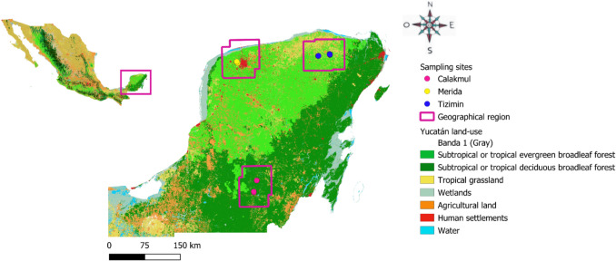Evolutionary and Ecological Drivers of Gut Microbiota in Wild Rodent Species from the Yucatán Peninsula.