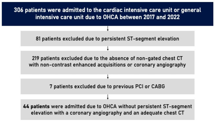 Calcium Hides the Clue: Unraveling the Diagnostic Value of Coronary Calcium Scoring in Cardiac Arrest Survivors.