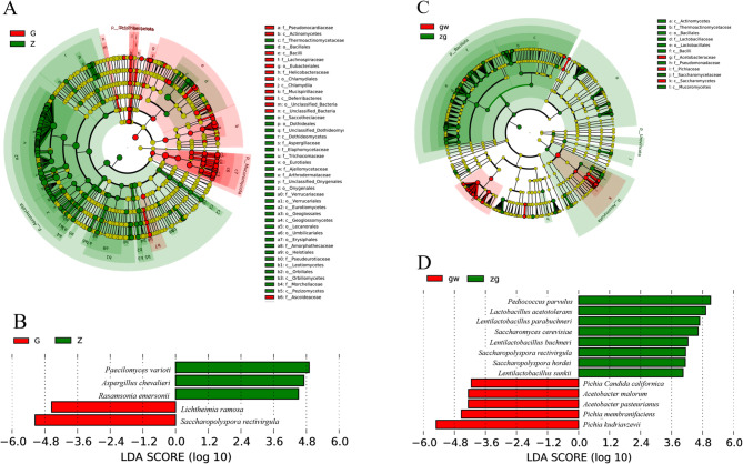 Comparative analysis of metagenomics between high- and medium-temperature daqu, and microbial succession in Jiang-Nong Jianxiang Baijiu fermentation.