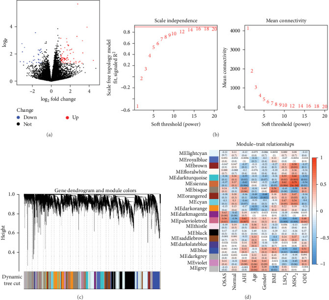 Transcriptomic and Polysomnographic Insights Into Core Signaling Pathways in Obstructive Sleep Apnea.