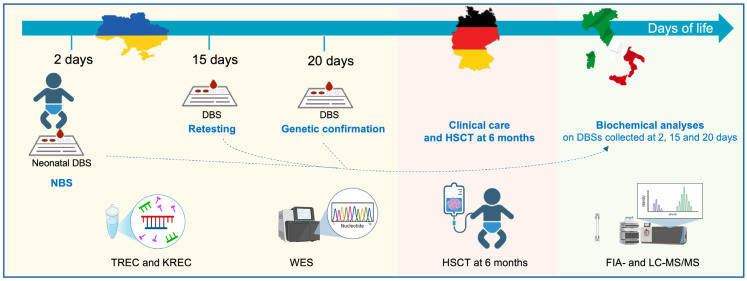 The Success of Newborn Screening Beyond War: An International Collaborative Case of Purine Nucleoside Phosphorylase (PNP) Deficiency.