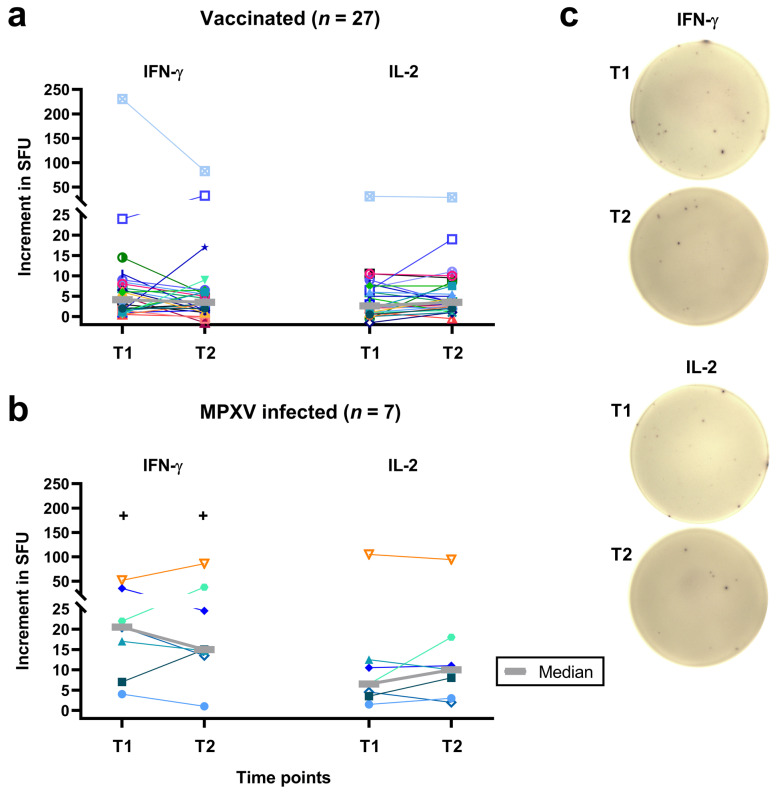 Long-Term Follow-Up of T Cell Immunity Against <i>Orthopoxviruses</i> in People Living with HIV After Vaccination and Natural Monkeypox Virus Infection.