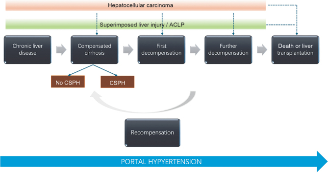Future research direction of portal hypertension based on Baveno VII.