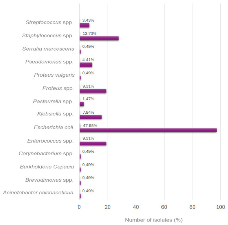 Prevalence and Antimicrobial Resistance Trends of Canine Uropathogens in a Veterinary Teaching Hospital in Northern Italy: A 10-Year Retrospective Study (2014-2023).