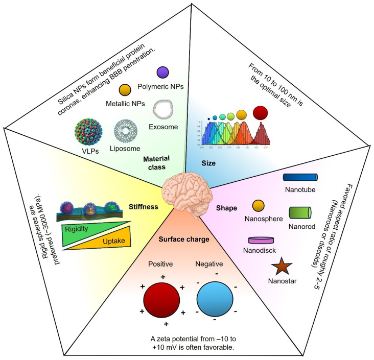 Cracking the Blood-Brain Barrier Code: Rational Nanomaterial Design for Next-Generation Neurological Therapies.