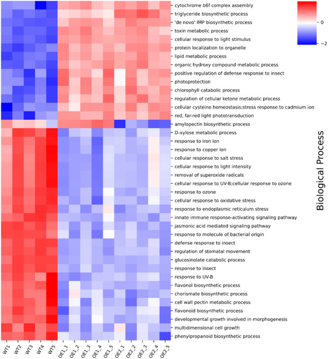 Quantitative proteomic analysis of Arabidopsis thaliana with different levels of phospholipid:diacylglycerol acyltransferase1 expression.