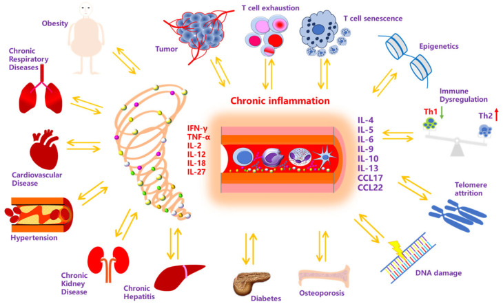 Chronic Diseases and Influenza Vaccines.