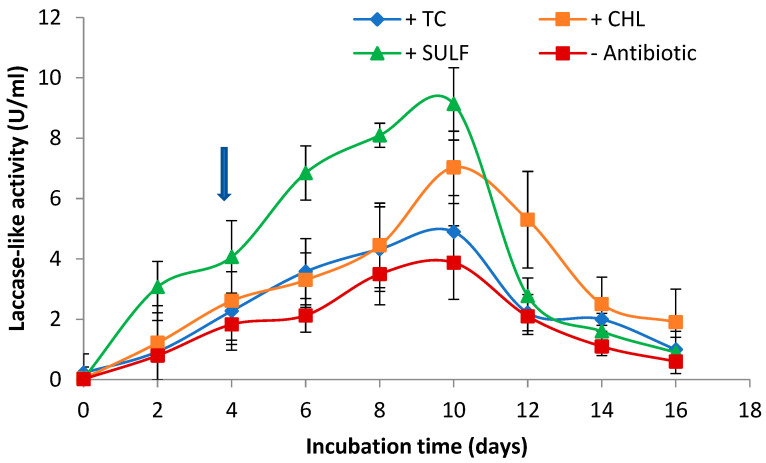 Biotransformation of Antibiotics by <i>Coriolopsis gallica</i>: Degradation of Compounds Does Not Always Eliminate Their Toxicity.