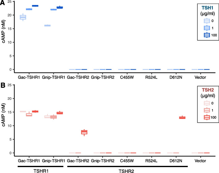 Functional mutations in the thyroid-stimulating hormone receptor in natural stickleback populations at sites identical to human disease-causing mutations.