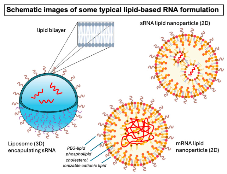 Emerging Approaches for the Discovery of Lipid-Based RNA Delivery Systems.