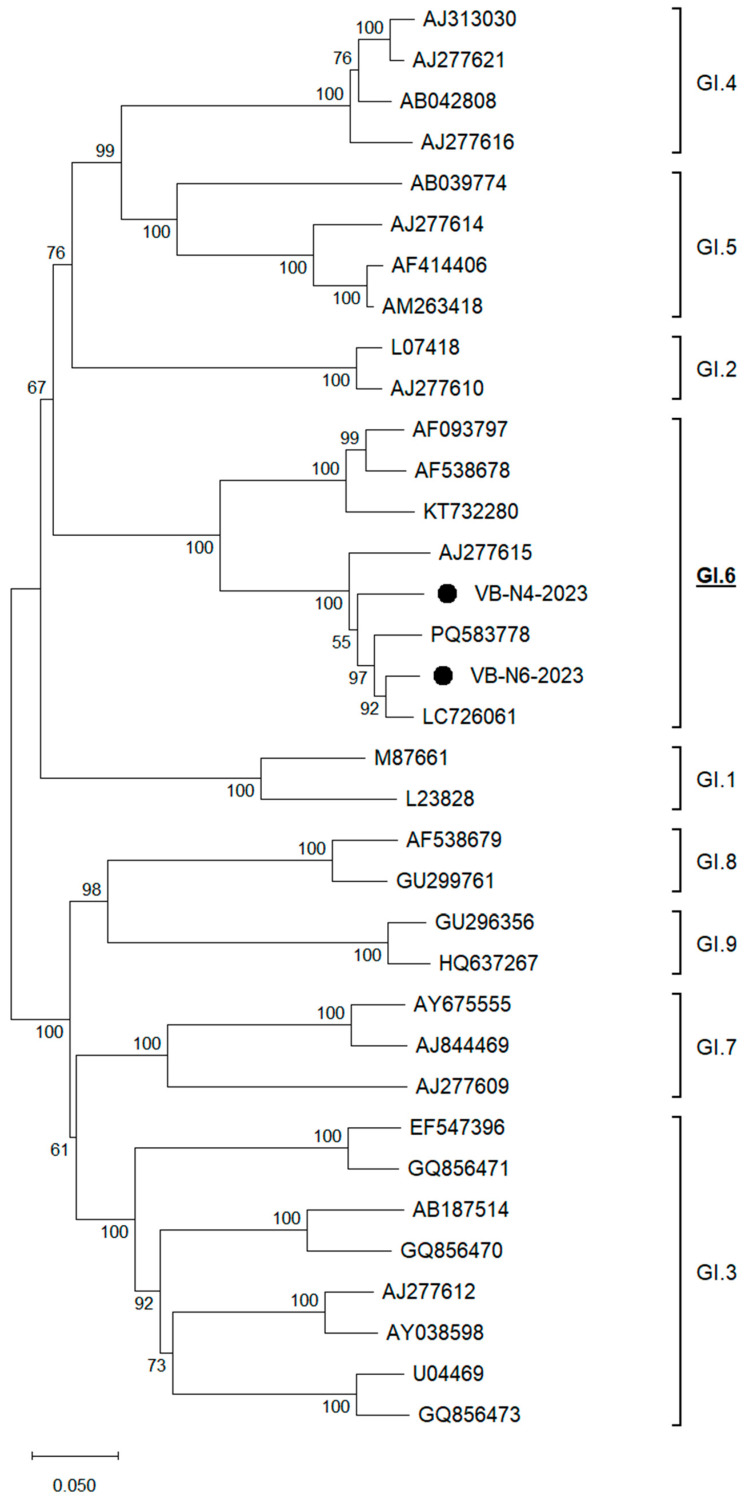 Detection of Norovirus from Berries in Serbia by Digital PCR and NGS.