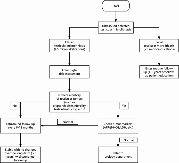 Testicular microlithiasis and male fertility: a dual perspective integrating imaging and physiological insights.