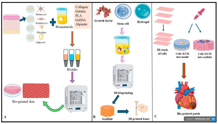 Bioprinted Scaffolds for Biomimetic Applications: A State-of-the-Art Technology.