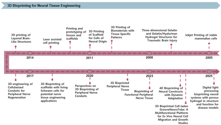 3D Bioprinted Neural Tissues: Emerging Strategies for Regeneration and Disease Modeling.