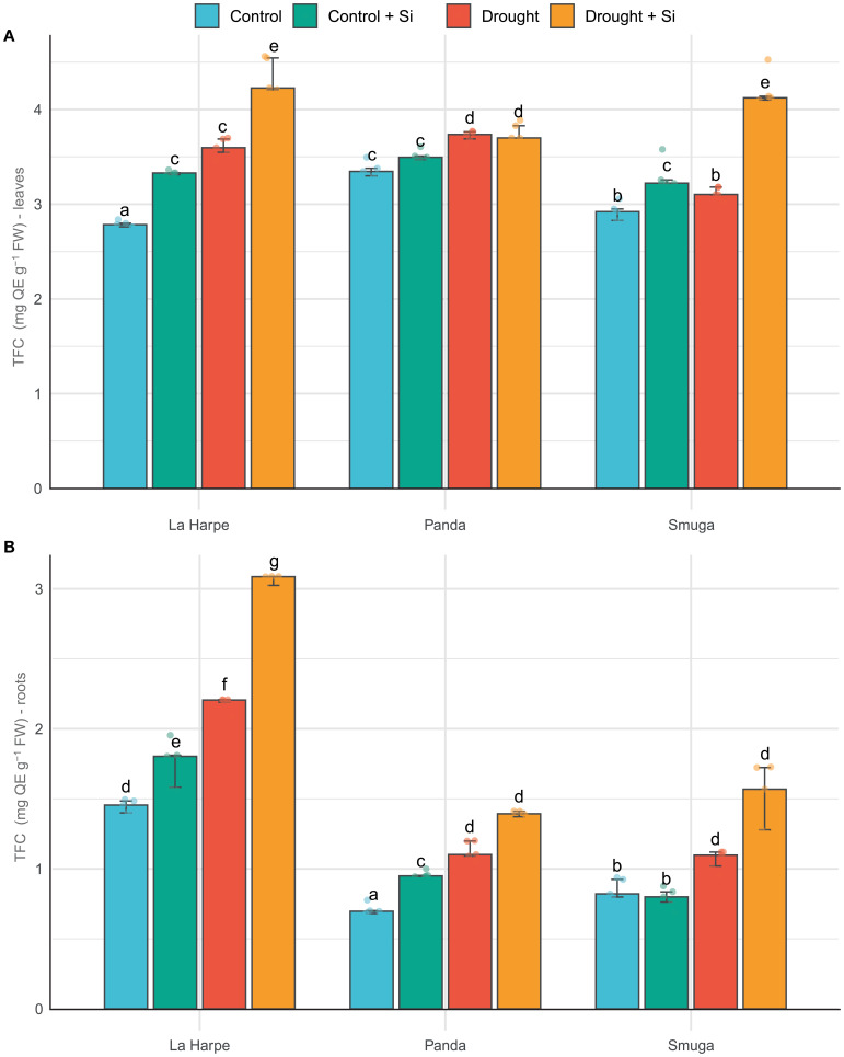 Silicon application enhances drought resilience in buckwheat: a comparative study of three varieties.
