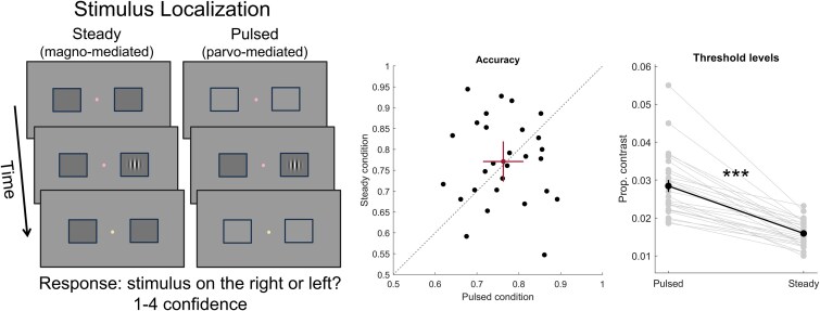Metacognition in putative magno- and parvocellular vision.
