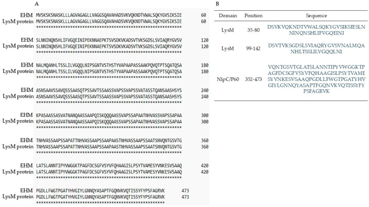 Purification and Characterization of Enterocins A, B, and a Novel High-Mass Bacteriocin from <i>Enterococcus lactis</i>-67 with Antilisterial Activity.