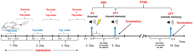 Sweet Relief? Short-Term Post-Traumatic High-Sucrose Intake Attenuates Acute but Not Long-Term Fear Responses in Mice.