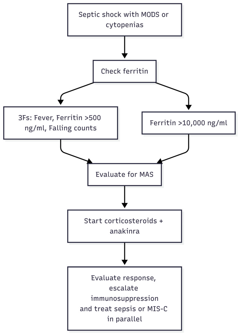 Hyperferritinemia and Macrophage Activation Syndrome in Septic Shock: Recent Advances with a Pediatric Focus (2020-2025).