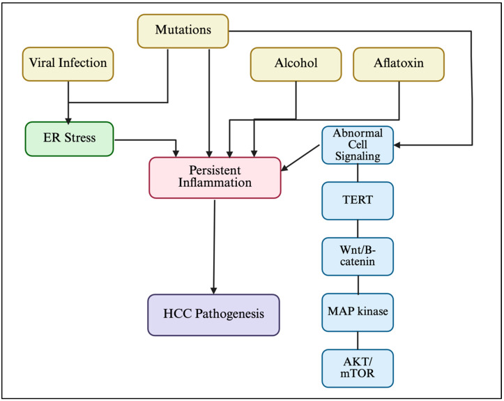 Hot and Cold HCC: Uncoupling Viral Oncogenesis and Therapy.